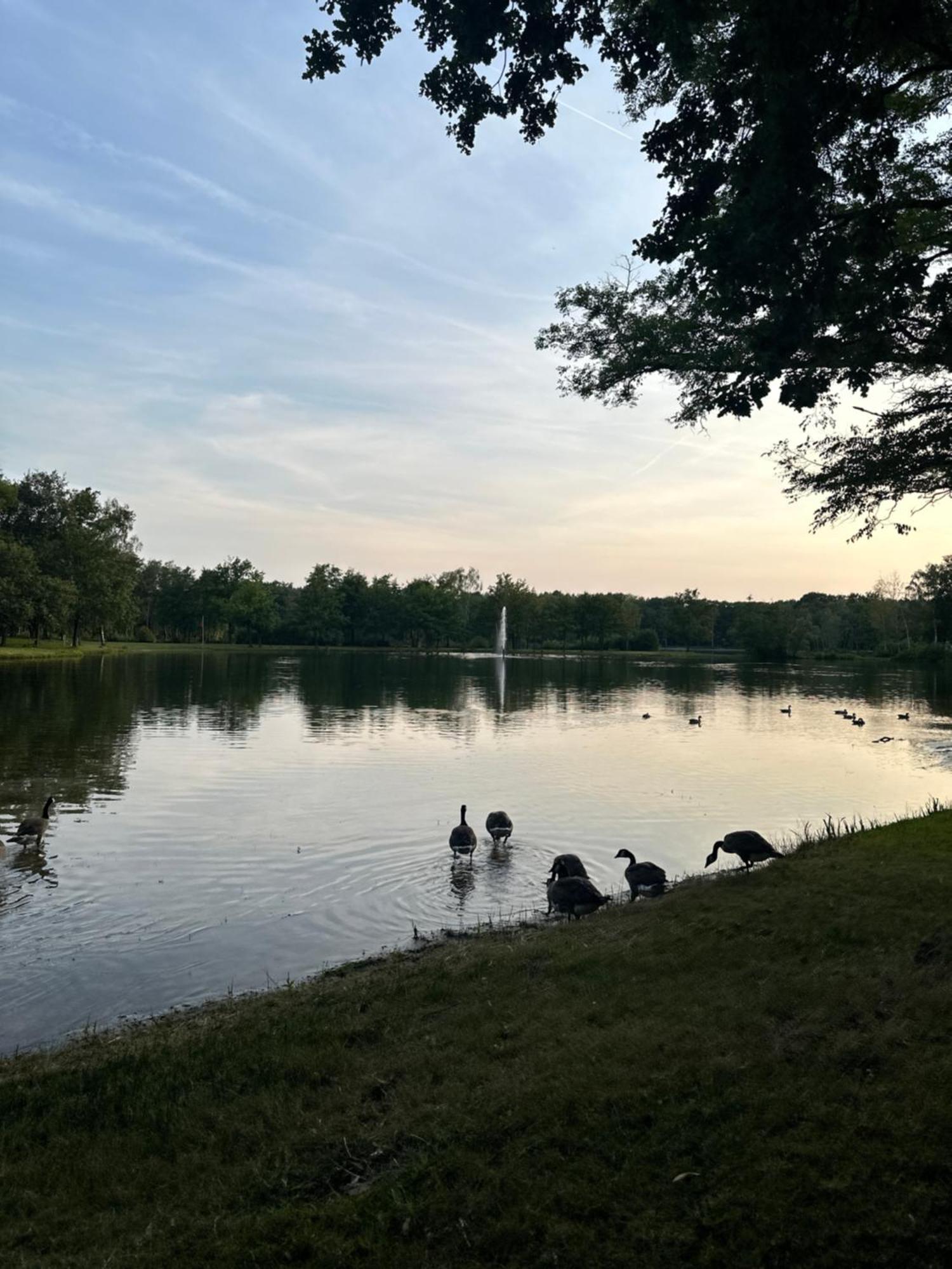 Vakantiehuis Lanaken Bagian luar foto